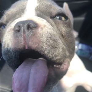 Meet your Posher, Charmian